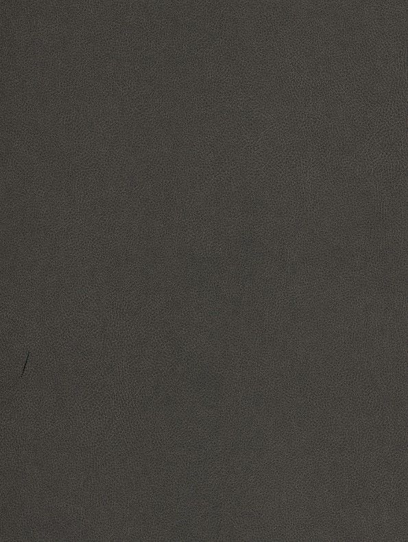 NE40